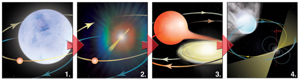 Схема образования миллисекундного пульсара. В тесной паре, состоящей из сверхгиганта и солнцеподобной звезды (1), массивная звезда быстро эволюционирует, взрывается как сверхновая и образует пульсар (2). Спустя миллиарды лет вторая звезда становится красным гигантом, и ее вещество начинает перетекать на нейтронную звезду (3). Скорость вращения нейтронной звезды увеличивается, а ее излучение разогревает и развеивает в пространстве внешние слои звезды-гиганта (4). Рис. Scott Ransom, Bill Saxton, с сайта www.nrao.edu