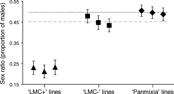 Процент сыновей в потомстве самок из линии LMC+ (треугольники), LMC– (квадраты) и Panmixia (ромбы). Пунктирной линией показан теоретически ожидаемый уровень для линии LMC+, точечной — для Panmixia. Рисунок из обсуждаемой статьи в Science