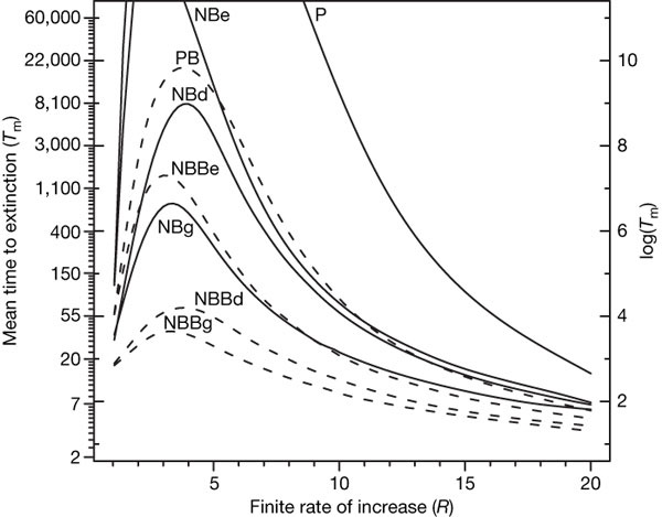 Рис. 2. Время до исчезновения популяции, состоявшей изначально из 30 особей, в зависимости от коэффециента воспроизводства R. Разные кривые отвечают разным моделям динамики популяции. Обозначения те же, что и на рис. 1. Изображение из обсуждаемой статьи в Nature