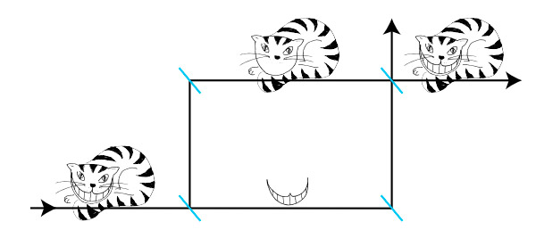 Рис. 1. Художественная интерпретация явления квантового Чеширского Кота