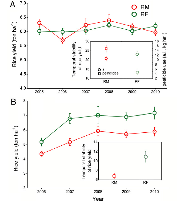 Динамика урожаев риса в хозяйствах монокультуры риса (RM) и риса и рыбы (RF) в провинции Чжэцзян по данным районных служб (A), на экспериментальных площадках (B). В верхней врезке даны средние показатели урожаев (s) и использованных пестицидов (pesticides). График из обсуждаемой статьи в PNAS