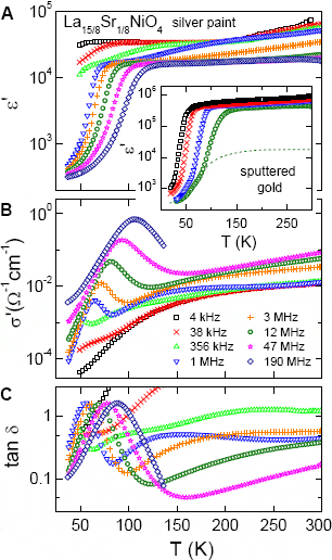 Рис. 2. Температурная зависимость диэлектрических свойств LSNO для различных частот внешнего электрического поля. Графики (A), (B) и (C) соответствуют зависимостям диэлектрической проницаемости ε, проводимости σ и тангенса угла диэлектрических потерь tgδ, когда исследуемое вещество контактирует с серебряными электродами. График диэлектрической проницаемости на вставке получен для того же образца в контакте с золотыми электродами. Рис. из обсуждаемой статьи