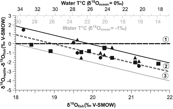 Рис. 2. Превышение температурой тела мезозойских морских рептилий температуры окружающей среды представлено как содержание стабильного изотопа кислорода 18O в фосфатах зубов рептилий относительно содержания их в костях рыб, обитающих там же в то же время. Видно, что эмпирические точки (кружочки — ихтиозавры, треугольники — плезиозавры, квадраты — мозазавры) хорошо ложатся на линию регрессии. Температура воды — по оси Х (обратная шкала!). Из обсуждаемой статьи в Science