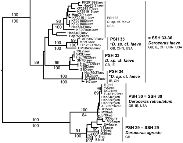 Пример анализа кластеров