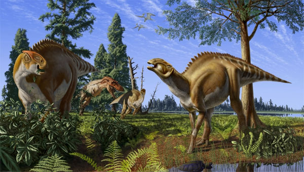 На этом рисунке показаны оба вида динозавров, из костей которых удалось выделить фрагменты белковых молекул: на заднем плане тираннозавр нападает на брахилофозавра, еще два брахилофозавра изображены на переднем плане. Рис. с сайта www.curatedobject.us