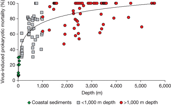 Рис. 3. Доля смертности прокариот (бактерий в широком смысле слова), причиной которой стало заражение вирусами, как функция глубины. Зеленые ромбики — прибрежные донные отложения, серые квадратики — глубины менее 1000 м, красные кружочки — глубины более 1000 м. Видно, что с глубиной возрастает доля бактерий, погибших от вирусов. Из обсуждаемой статьи в Nature