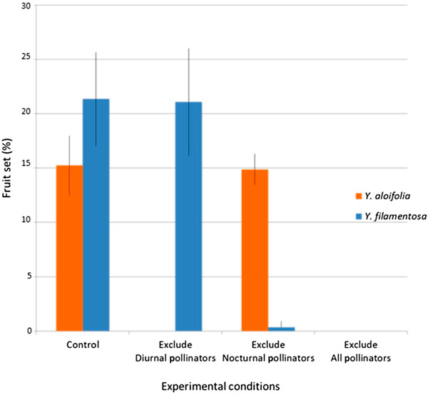 Рис. 2. Доля цветков, завязавших плоды, в разных вариантах опыта