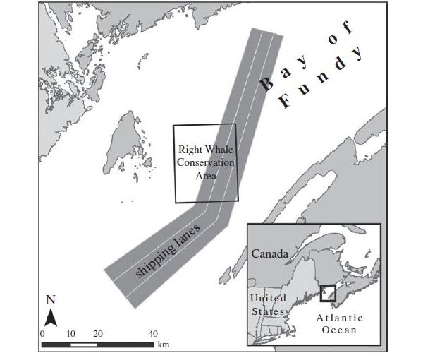 Рис. 3. Морской торговый путь и область концентрации североатлантических гладких китов (отмечена прямоугольником) в заливе Фанди