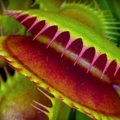 Ловить или не ловить