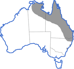 Территория, захваченная жабой-агой (рис. с сайта frogs.org.au)