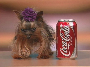 Удивительная вариабельность размеров у домашних собак долгое время была загадкой для генетиков (фото с сайта www.eglobe1.com)