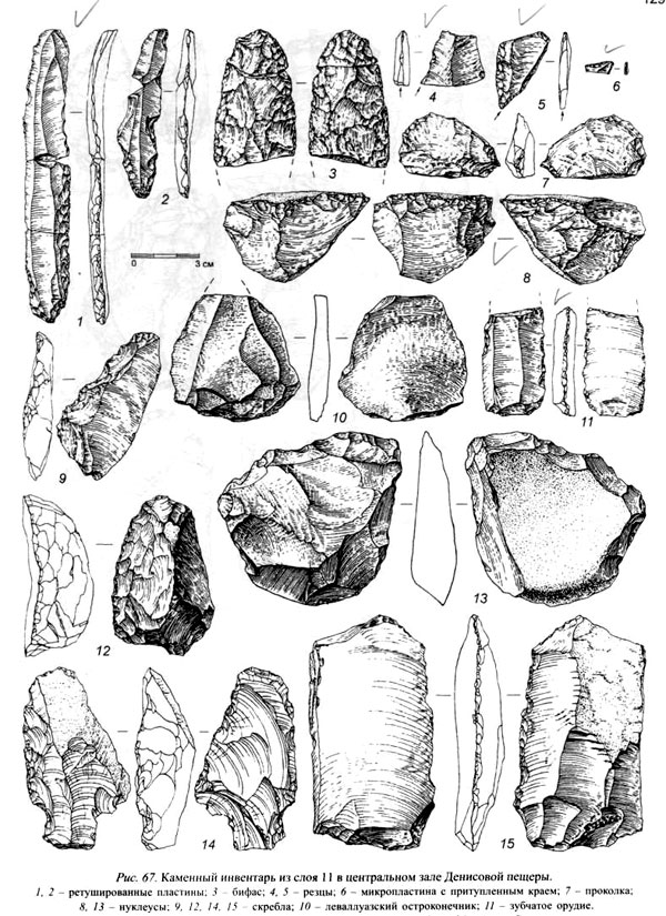 Образцы каменных орудий (в основном среднепалеолитического типа) из слоя 11 в Денисовой пещере. Рисунок из монографии А. П. Деревянко и др., 2003