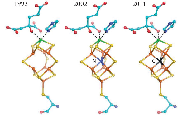 Прогресс в расшифровке структуры железо-молибденового кофактора. Рисунок из обсуждаемой статьи S. Ramaswamy в Science