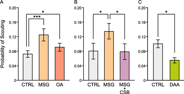 Результаты опытов по кормлению пчел нейроактивными веществами