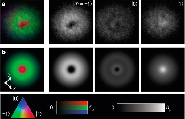 Диагностика спинового состояния бозе-конденсата в ходе эксперимента