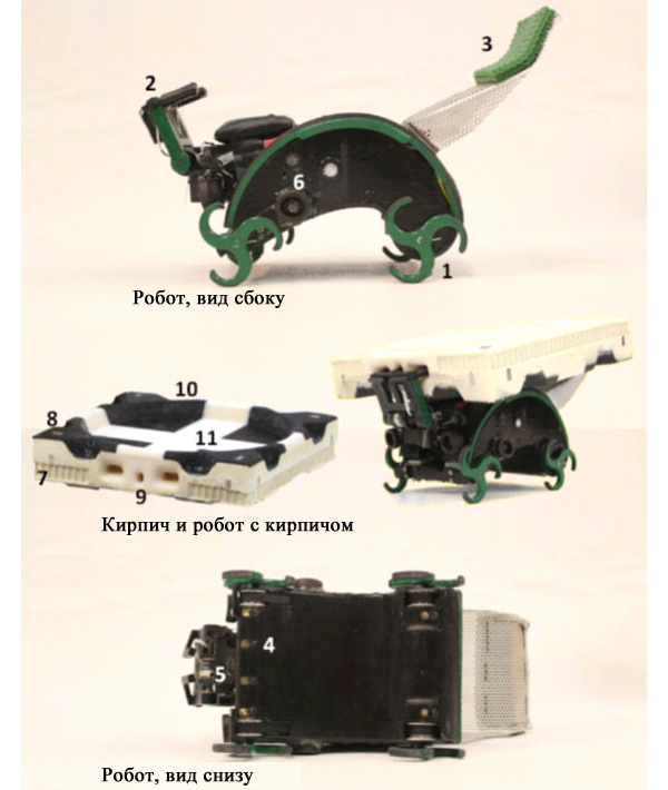 Так выглядит робот-строитель