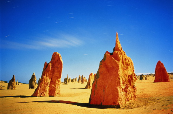 Термитники в пустыне напоминают города. Разные колонии термитов имеют свой «архитектурный стиль», который передается генетически