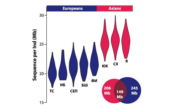 Количество неандертальских последовательностей в среднем у одного человека