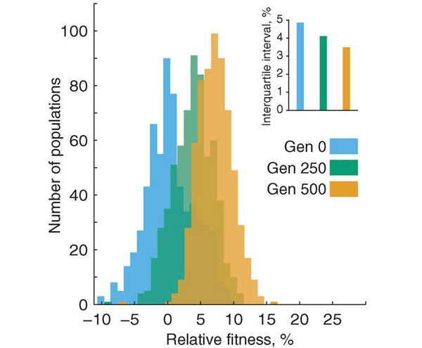 Рис. 2. Приспособленность подопытных популяций в начале фазы адаптации (синие столбики), в ее середине (зеленые столбики) и в конце (оранжевые столбики)