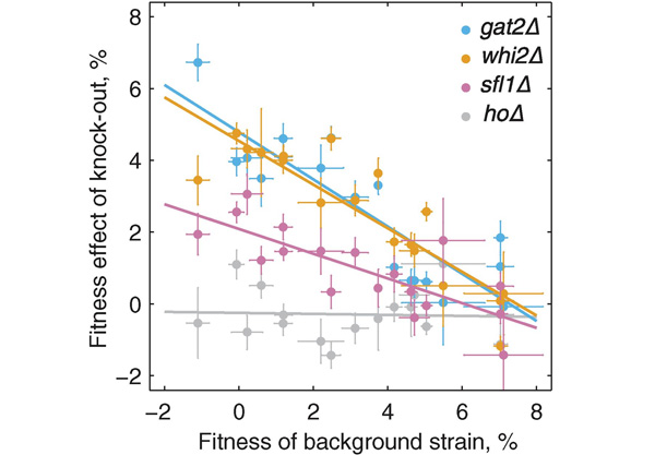 Рис. 4. Полезный эффект одной и той же мутации убывает с ростом общей приспособленности генотипа, в котором эта мутация произошла