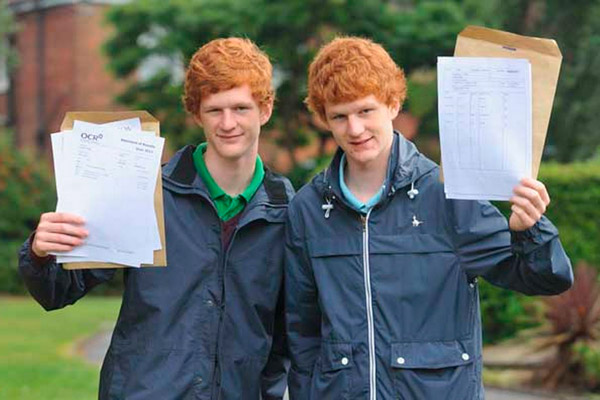 Рис. 1. Близнецы, сдавшие экзамен