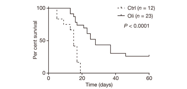 Рис. 3. Выживаемость модельных мышей после подавления опухолей и реактивации онкогена KRAS