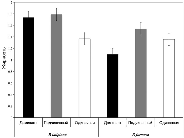 Рис. 3. Средняя «жирность» самок