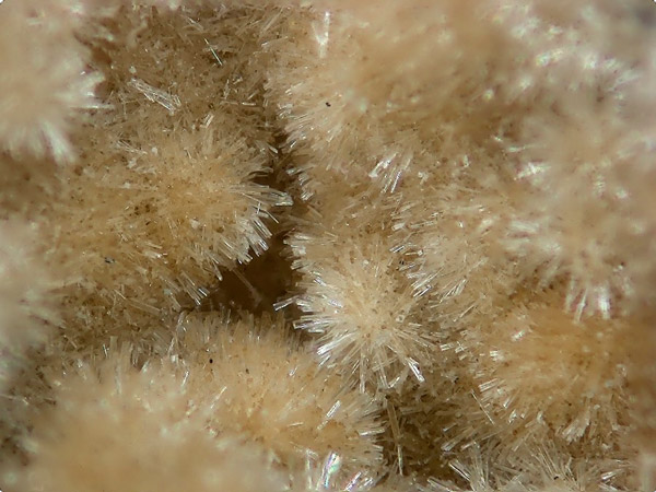 Римкорольгит