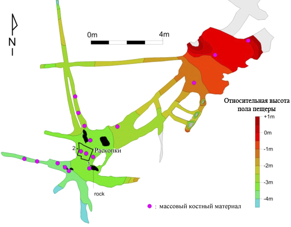 Схема пещеры Диналеди, где откартировано положение видимых остатков костей и площадь раскопа