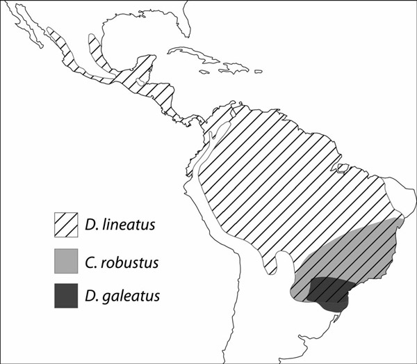 Рис. 4. Ареалы желн и королевского дятла