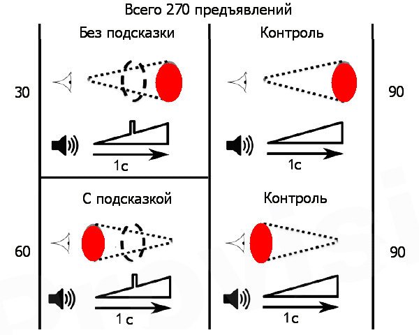Рис. 5. Схема эксперимента