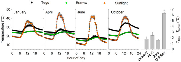 Рис. 2. Температура тела ящериц тегу в течение некоторых месяцев года