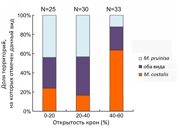 Популярность искусственных территорий у самцов двух видов стрекоз