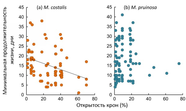 Взаимосвязь продолжительности жизни и освещенности занимаемой территории у самцов
