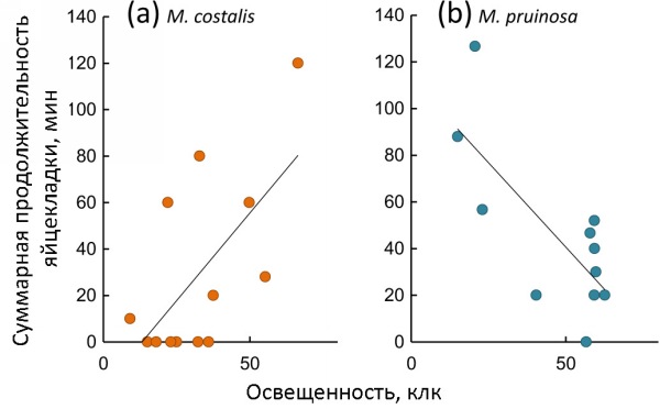 Взаимосвязь репродуктивного успеха и освещенности