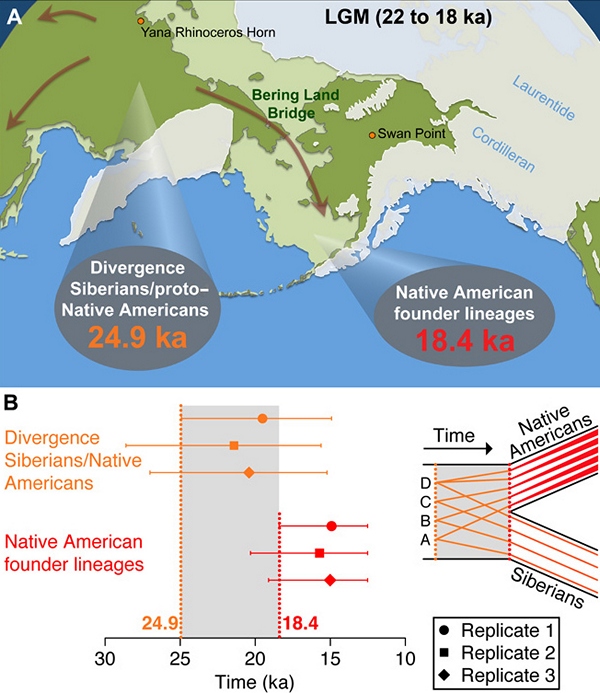 Оценка времени разделения между популяциями коренного населения Америки и Сибири