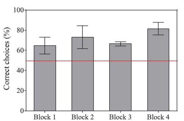 Процент правильно выбранных лиц