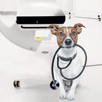 Эти диагносты — настоящие звери!