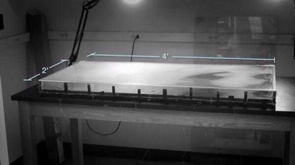 Так выглядит полигон для эволюции E. coli, где можно день за днем наблюдать, как продвигается — буквально — адаптация у бактерий