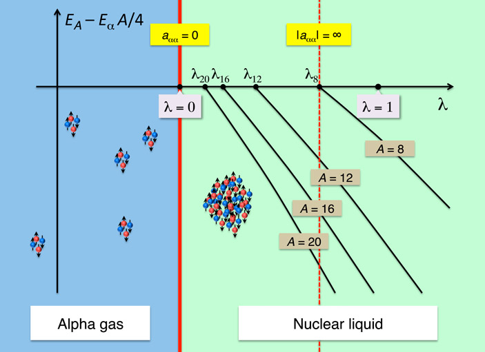 Рис. 2. Квантовая фазовая диаграмма ядерной материи, полученная в статье
