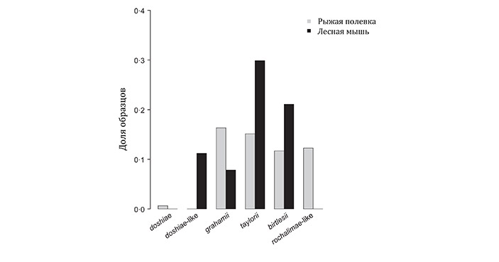 Рис. 2. Встречаемость различных видов бартонелл в пробах крови рыжей полевки и лесной мыши