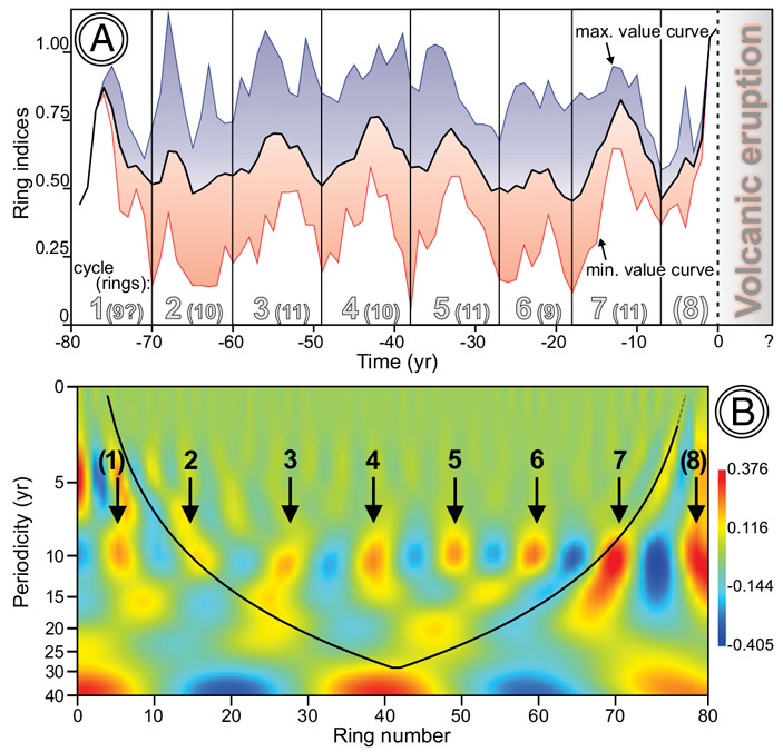 Рис. 3. Результаты статистического анализа годичных колец