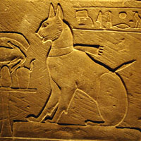 Как появились домашние кошки