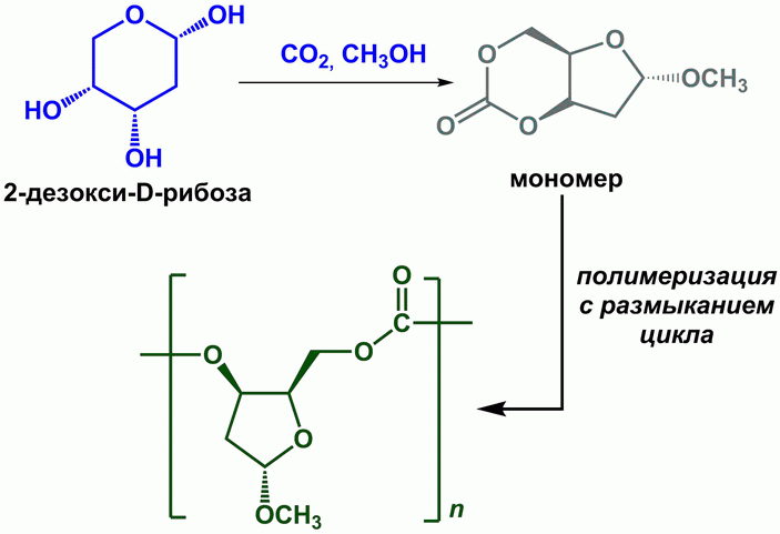 <b>Рис. 2. </b>Схема получения поликарбонатного полимера из дезоксирибозы и углекислого газа