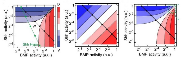 Примеры карт декодирования