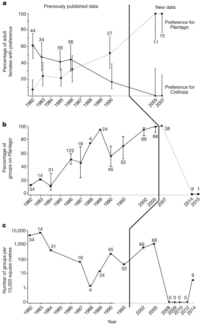 Рис. 2. Переход бабочек на новое кормовое растение и последующее вымирание популяции