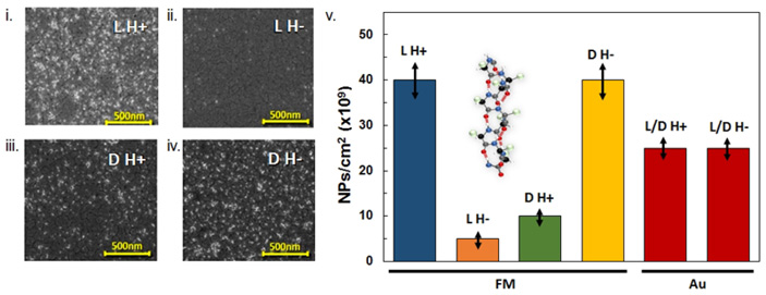 Рис. 3. Адсорбция олигоаланина при разных направлениях магнитного поля