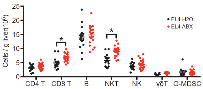 Рис. 3. Подавление кишечной микробиоты стимулирует формирование NKT-клеток в печени