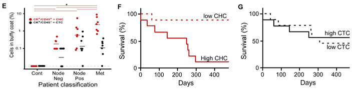 Рис. 6. Содержание гибридов в крови онкологических больных и корреляция с выживаемостью