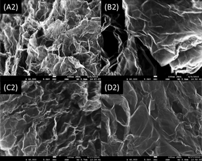Рис. 3. Изображения исследуемых образцов, полученные сканирующим электронным микроскопом